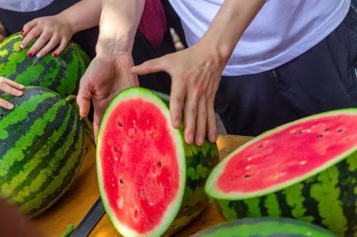 吃瓜学校100集,百集校园风云录  第3张