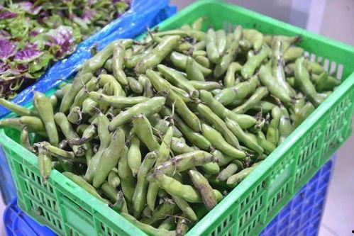 丹阳吃瓜现场,一场全民参与的狂欢盛宴  第2张