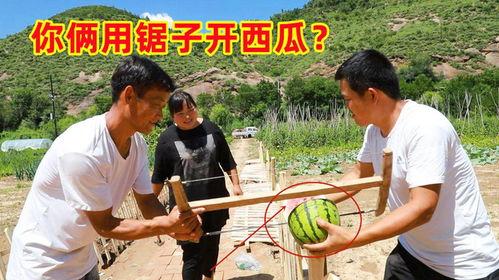 锯子吃泥瓜,智慧农业新篇章  第2张