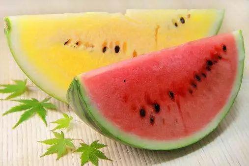 吃瓜基因是什么,揭秘人类对八卦新闻的天然偏好  第3张