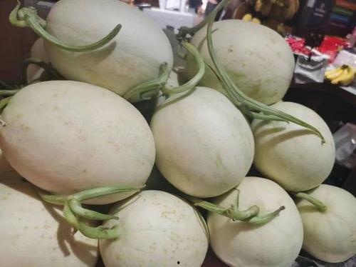 海南吃瓜网站,揭秘热带风情美食圈  第2张