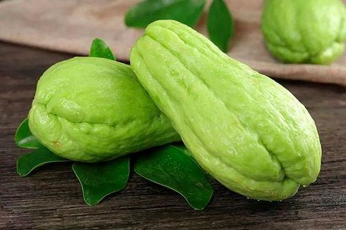 文登师范吃瓜,揭秘校园里的那些事儿