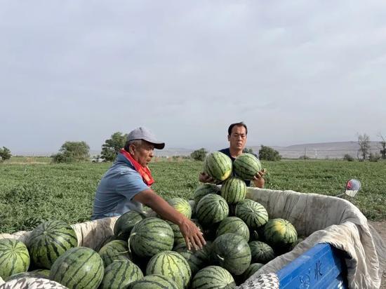 文登师范吃瓜,揭秘校园里的那些事儿  第3张