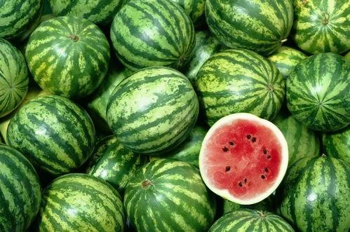 吃瓜全塞嘴里,揭秘吃瓜全塞嘴里的独特魅力  第2张