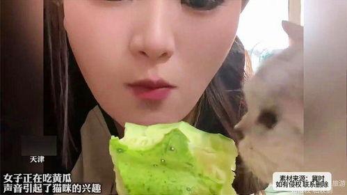 女人吃瓜的感想,女性视角下的吃瓜心得解析  第3张