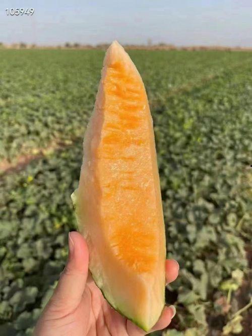 云时吃瓜,揭秘网络时代的娱乐现象