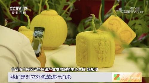 云时吃瓜,揭秘网络时代的娱乐现象  第3张