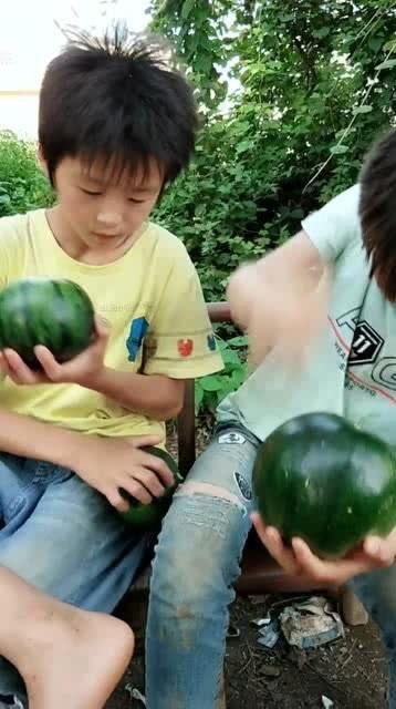 最有吃瓜精神的人,吃瓜群众眼中的娱乐圈风云录  第3张