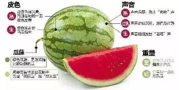 微信吃瓜入口,轻松获取热门资讯，畅享网络娱乐盛宴  第3张