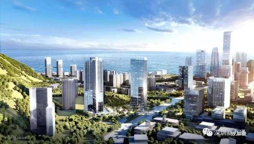 滨海大厦吃瓜,揭秘网红美食背后的吃瓜故事  第2张