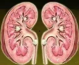 靖西吃瓜,吃瓜也能吃出风味  第2张