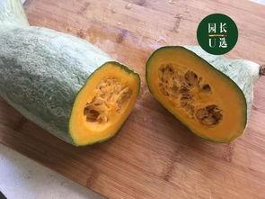 可以连皮吃的小瓜,尽享美味——探索可连皮食用的神奇小瓜”  第2张