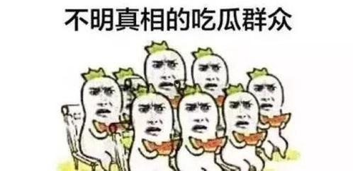 吃瓜修为,揭秘娱乐圈背后的秘密  第2张