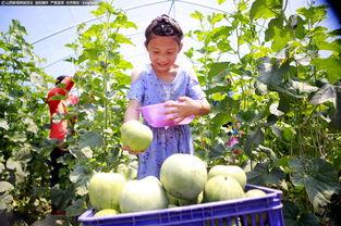 栗园小区吃瓜,吃瓜群众的热闹日常