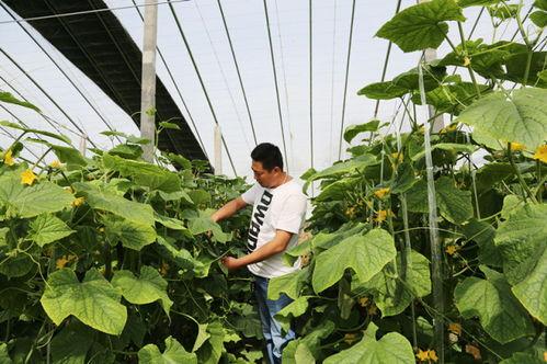 栗园小区吃瓜,吃瓜群众的热闹日常  第3张