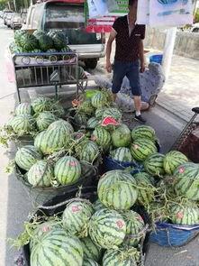 湛江本地吃瓜事件,一场本地美食引发的社交热议  第3张