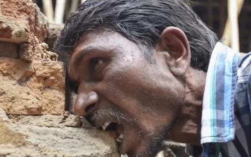 吃瓜小熊印度视频,揭秘印度街头美食文化  第3张