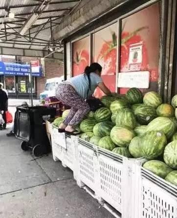 大妈吃的瓜  第3张