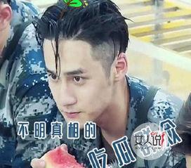 帅气吃瓜群众图片,帅气吃瓜群众，揭秘娱乐圈幕后趣闻  第2张