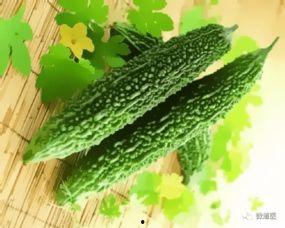 丰收瓜芽可以吃吗,美味与营养并存，食用指南揭秘  第3张