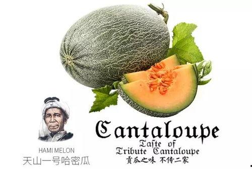 吃瓜号真假,真假难辨，真相究竟如何？