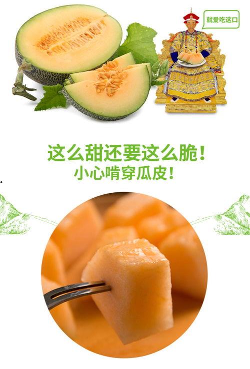 吃瓜号真假,真假难辨，真相究竟如何？  第3张