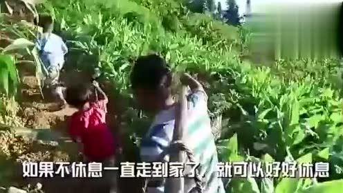 中信吃瓜事件视频,揭秘网络热议背后的真相与争议  第3张