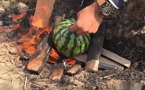 瓜哥ins吃鸡,趣味横生游戏瞬间走红  第3张