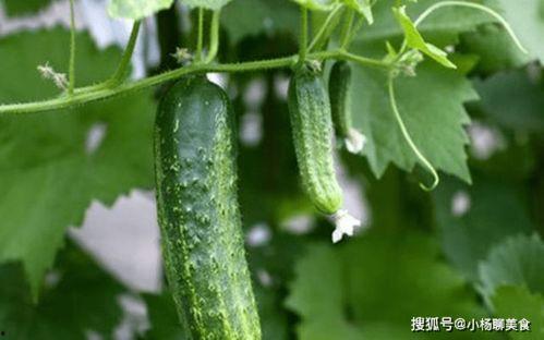 大家最近吃的瓜,明星们的甜蜜与苦涩  第2张