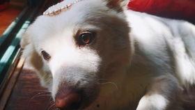 吃瓜是几声,揭秘娱乐圈风云变幻  第3张