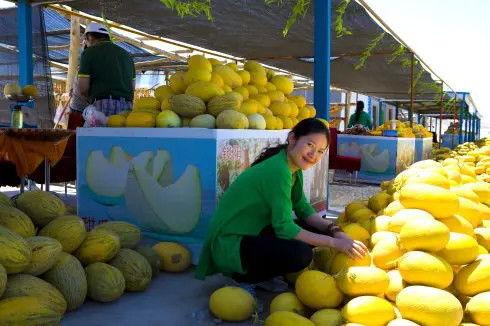 瓜州吃瓜最新视频,最新视频揭秘当地特色美食与风土人情  第3张