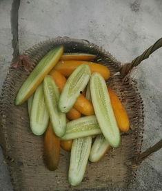 村里大妈吃瓜图片,欢乐时光瞬间定格  第3张