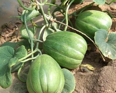 13部吃瓜了,揭秘娱乐圈幕后风云