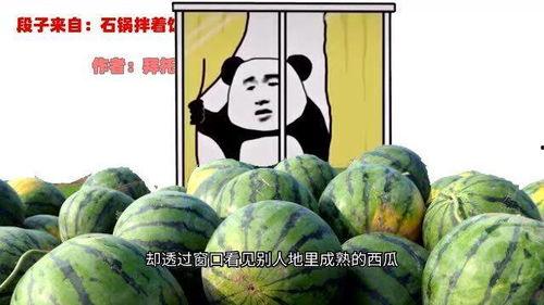 表哥吃瓜前后,一场视觉与味觉的双重盛宴  第3张