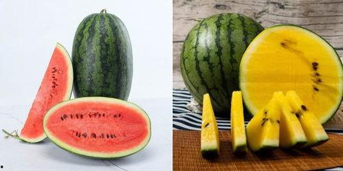 吃瓜的摆烂,笑对人生百态  第3张