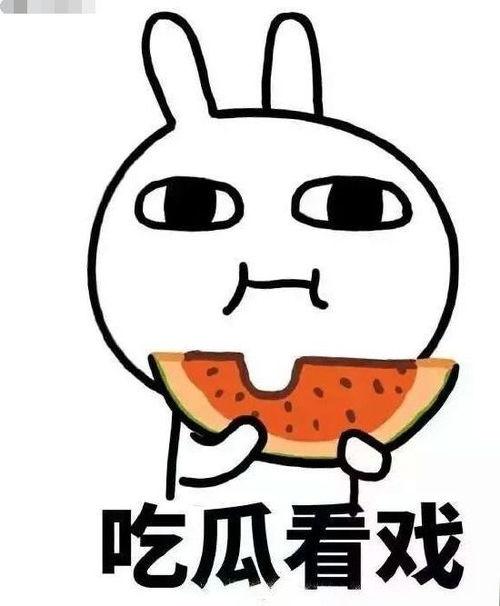 梦见吃瓜没付钱,瓜田奇缘，未付之瓜的神秘启示  第2张