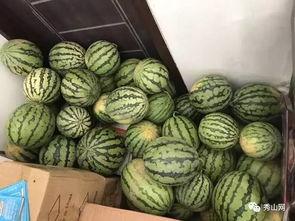 任丘有吃瓜视频吗,揭秘当地吃瓜视频背后的故事  第3张