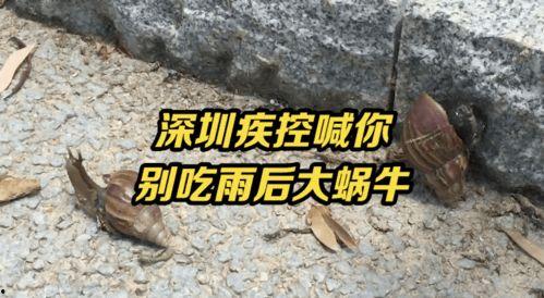 带你吃瓜的大蜗牛,揭秘娱乐圈那些事儿  第2张