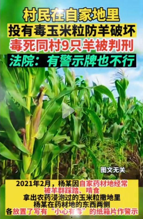 东莞娜娜吃瓜网,揭秘娱乐圈最新热点，带你领略娱乐界的风云变幻  第2张