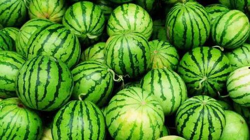 网络网爆吃瓜,揭秘娱乐圈幕后真相