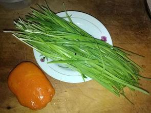 葫芦瓜和韭菜一起吃吗,营养互补的饮食新主张