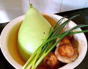 葫芦瓜和韭菜一起吃吗,营养互补的饮食新主张  第3张