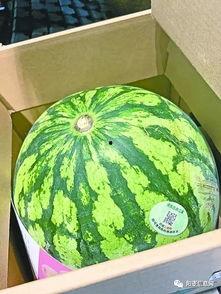 还有吃瓜的问题吗,娱乐圈最新瓜皮事件盘点  第3张