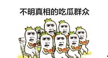 如何下载吃瓜群众,尽享吃瓜群众乐趣  第2张