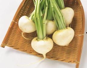 春吃萝卜夏吃瓜,春萝卜夏瓜，养生之道  第2张