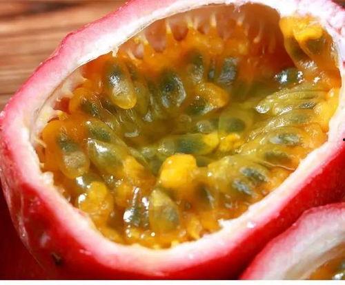 春吃萝卜夏吃瓜,春萝卜夏瓜，养生之道  第3张