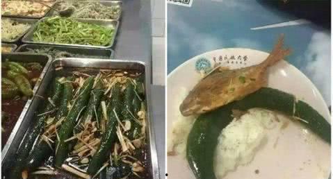 吃瓜群众瓜哥奇葩菜,揭秘吃瓜群众心中的奇葩美食传奇  第3张