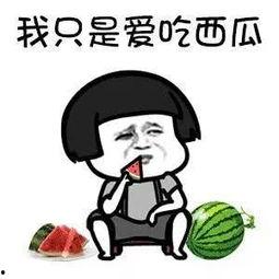 哈圈吃瓜人,揭秘娱乐圈背后的故事与真相  第3张