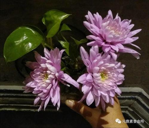 吃瓜群主花花,揭秘网络社交圈的幕后故事  第3张