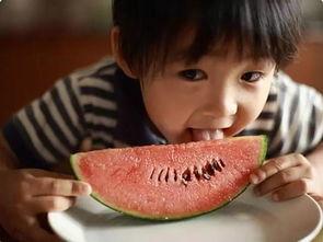 二辰pk吃自己瓜,一场关于瓜的趣味对决  第2张